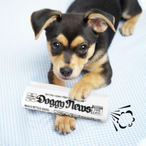 Squeaky Newspaper Dog Toy – Fun Chew & Training Toy