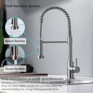 Monobloc Silver Kitchen Sink Mixer Taps With Pull Out Hose Spray Single LeverTap