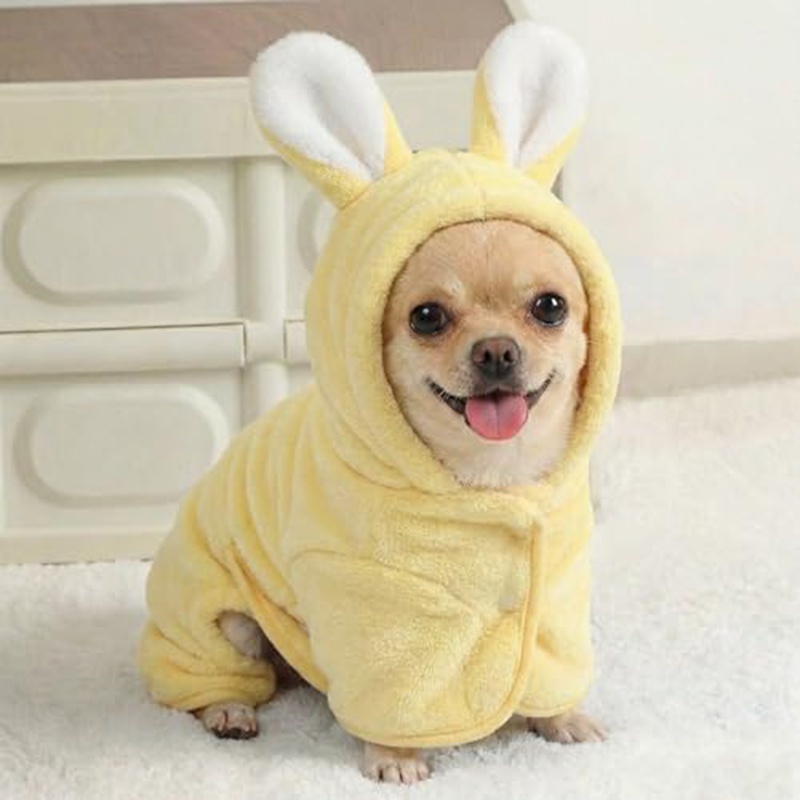 Absorbent Dog Bathrobe Towel – Quick-Dry Drying Coat for Small Dogs & Cats